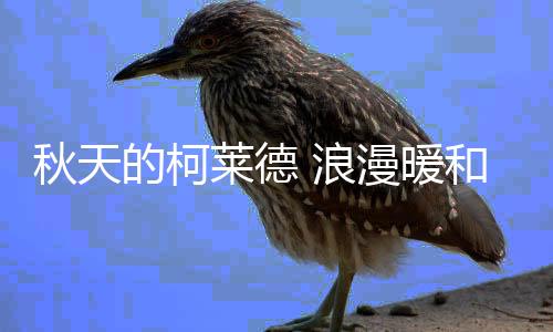 感受难忘的秋天触动