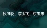 秋风吹，螨虫飞�，东宝床垫让你免受螨虫干扰