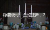 稳鹿板材	
�：金蛇狂舞�，2025家居梦想再起航