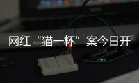 网红“猫一杯”案今日开庭
，曾编造“秦朗巴黎丢寒假作业”被封号
