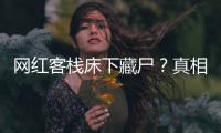 快排公司十年历程，霸屏兔 seo 的崛起与坚守