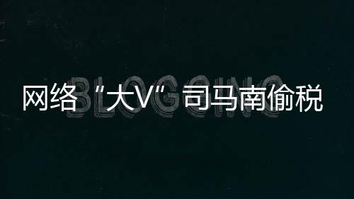 大V严肃查处涉税违法行为