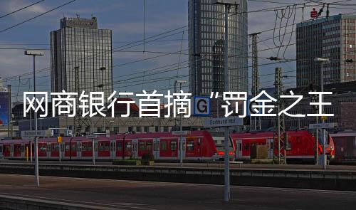 网商累计被罚金额1485万元