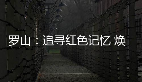 红色焕在场的记忆人