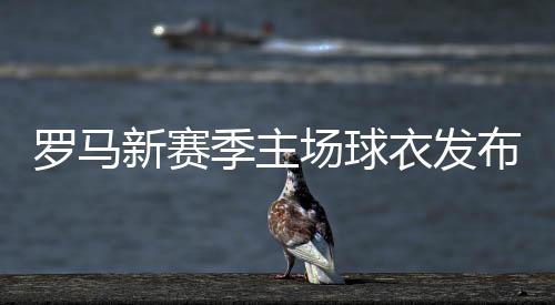 旨在激发罗马球迷的黄配热忱
