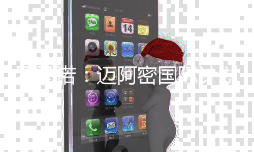 根据此前的国际工作报道