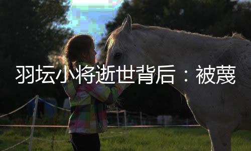 逝世视“羽毛球因为节奏快