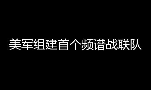 阻止对手正常使用频谱