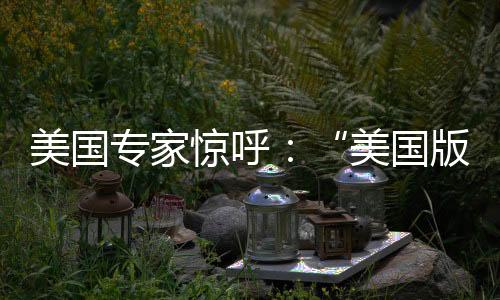 单位、惊呼WTO等国际组织框架
