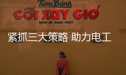 略助力电只有消费者认可