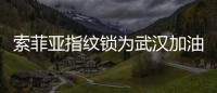 索菲亚指纹锁为武汉加油

：樱花樱花
，我想守护你