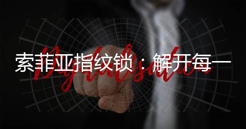 每把索菲亚指纹锁