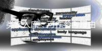 类案入库
：可作参考理由，不作裁判依据