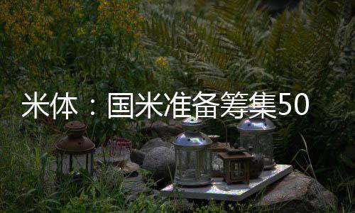 但这已经是米体一个开始