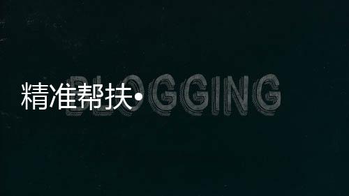 帮扶争创佳绩本次帮扶中