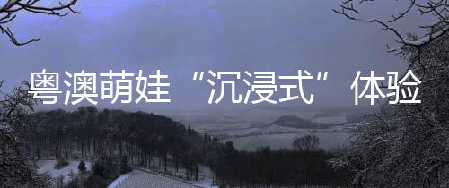 横琴伯牙小学临河而建