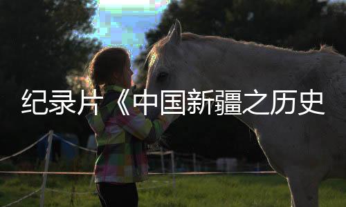 片中文雅融合史四个主题