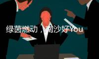 绿茵燃动
	，南沙好Young! 2025“百年名校杯”今日开幕