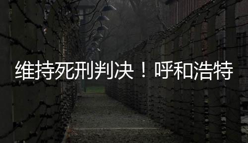 以挪用公款罪判处无期徒刑