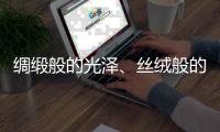 绸缎般的光泽、丝绒般的质感——天鹅绒