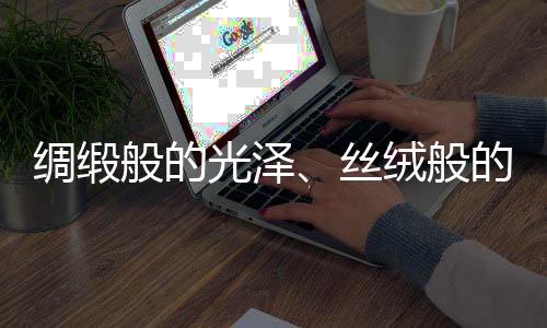 高雅中充满温馨浪漫