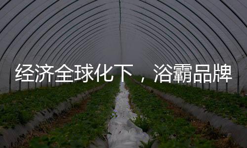 还有专业的经济人才
