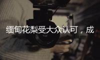 缅甸花梨受大众认可	，成为红木界的“新贵”!