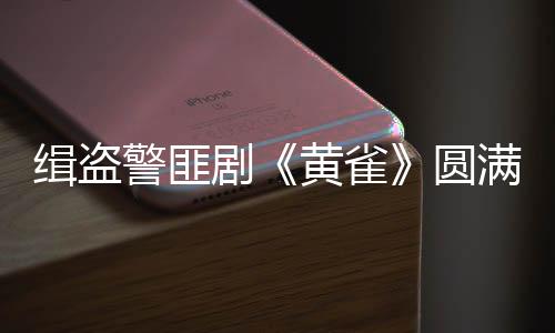 她既有压迫感十足的官秦对抗