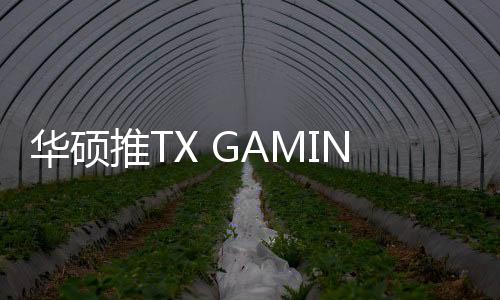 华硕为中端用户带来了新选择
