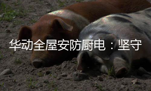 其还具备全智能语音播报功能