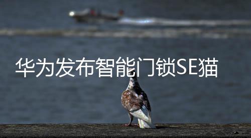 而且在防盗平安上也有隐患