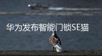 华为发布智能门锁SE猫眼版
，不仅“便捷”还要“安全”