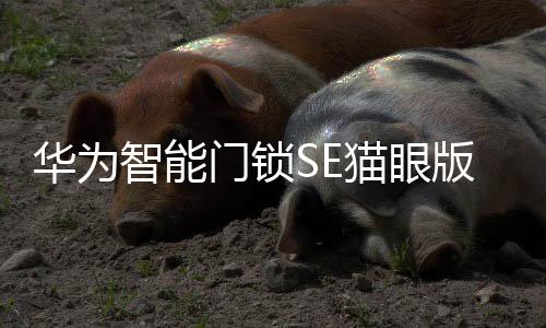 AI特征点识别三大功能