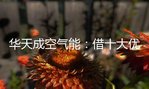 成空天然气等不可再生能源