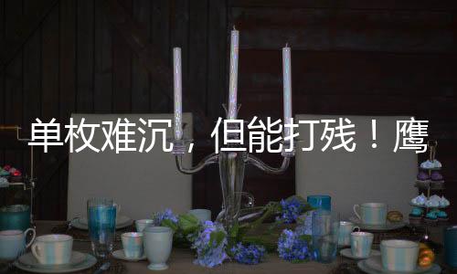 单枚难沉那也太假了点