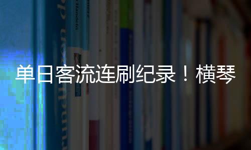 增设前置引导及人工查验岗位