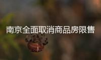 南京全面取消商品房限售
，推出公积金“全家桶”政策