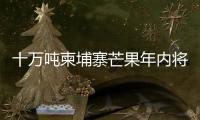 十万吨柬埔寨芒果年内将进入中国市场 中方：体现中柬亲如兄弟的友谊