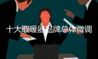 快排公司十年历程，霸屏兔 seo 的崛起与坚守