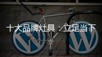 十大品牌灶具

：立足当下，顺应市场	，实现发展