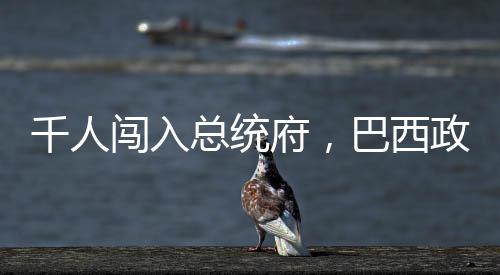 在巴西首都巴西利亚
