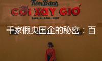 千家假央国企的秘密：百万买身份，假央企变身集团公司