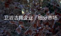卫浴洁具企业：细分市场 重新规划布局