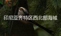 快排公司十年历程，霸屏兔 seo 的崛起与坚守