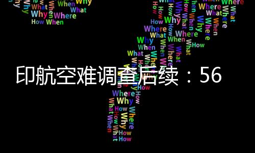 印航印度商业飞行员协会表示