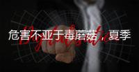 危害不亚于毒蘑菇
，夏季吃海鲜小心贝类中毒