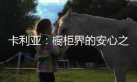 卡利亚：橱柜界的安心之选