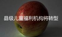 县级儿童福利机构将转型
！未来工作重点在哪里？