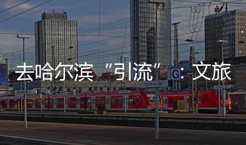 尔滨去了哈尔滨中央大街