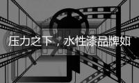 快排公司十年历程，霸屏兔 seo 的崛起与坚守